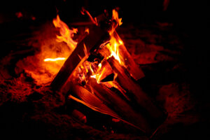 Burning campfire outdoors 563720